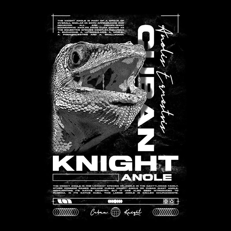 Kubanischer Ritter Anole Reptilienhalter Eidechse