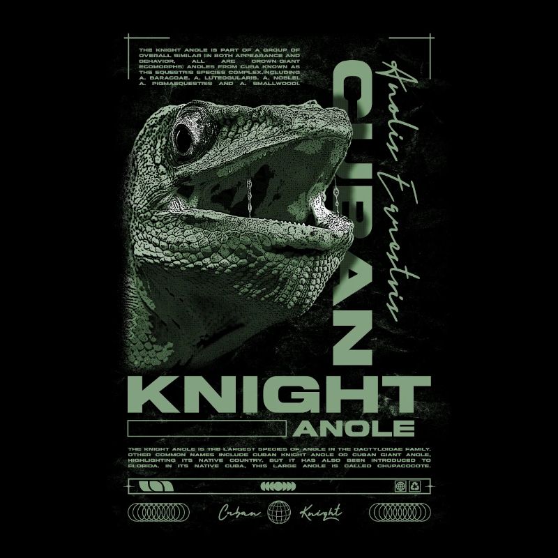 Kubanischer Ritter Anole Reptilienhalter Eidechse