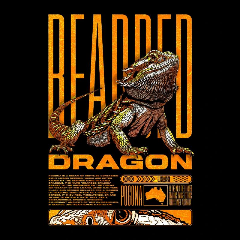 Bartagame Reptilienhalter Beardie Eidechse