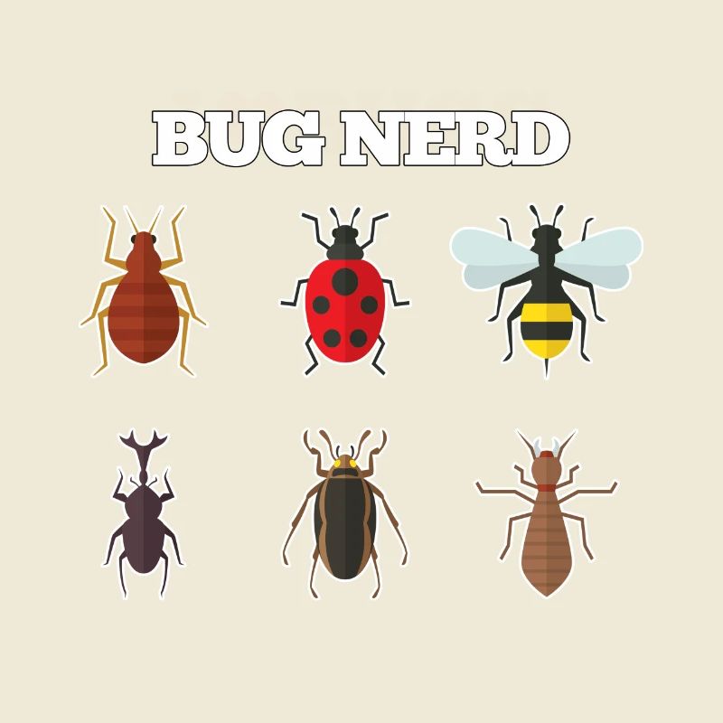 Bug Nerd