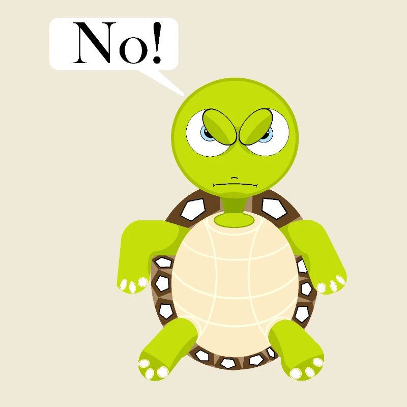 Statement No Turtle, No Fun Comic, No