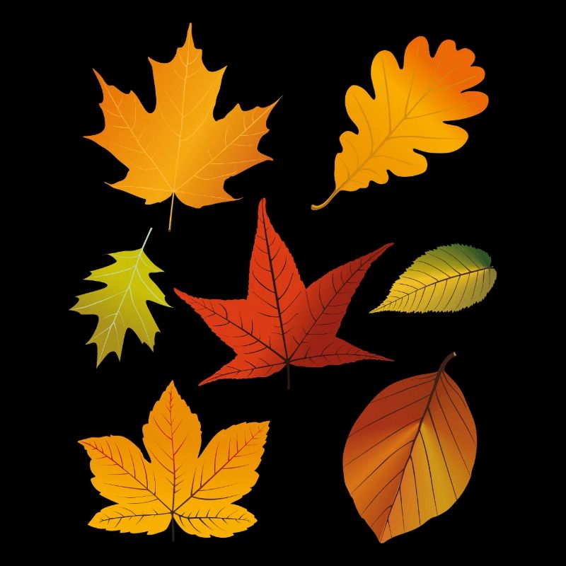 Feuilles d’automne