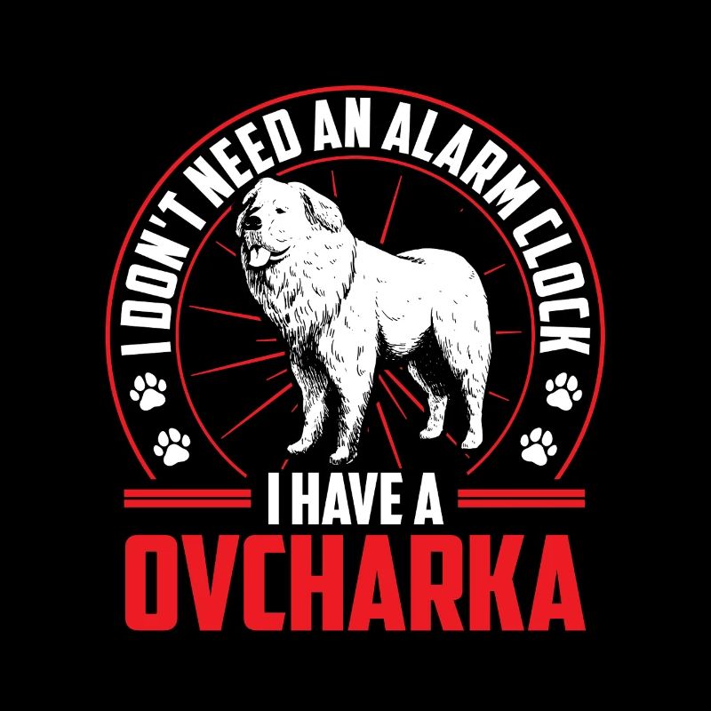 Caucasian Ovcharka is alarm