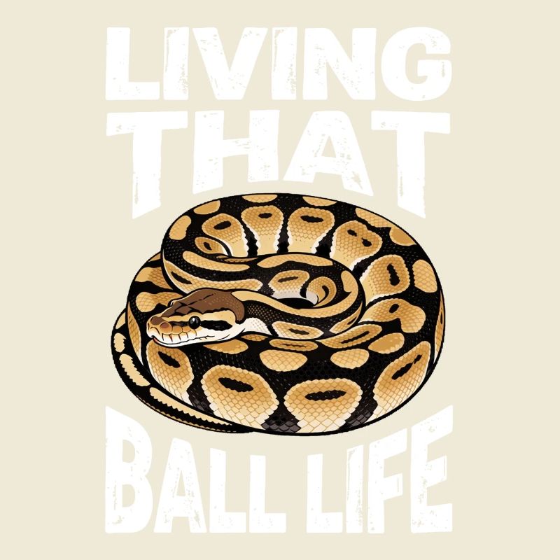 King Python Snakes Lover Terrarium Python