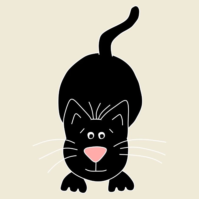chat noir