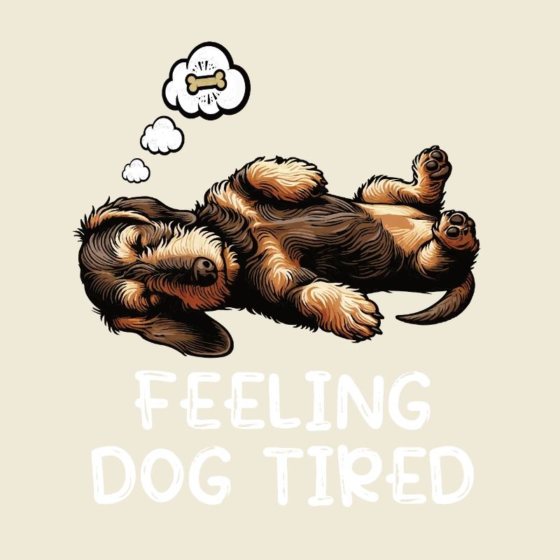 Se sentir fatigué par chien Teckel à poil dur Teckel teckel