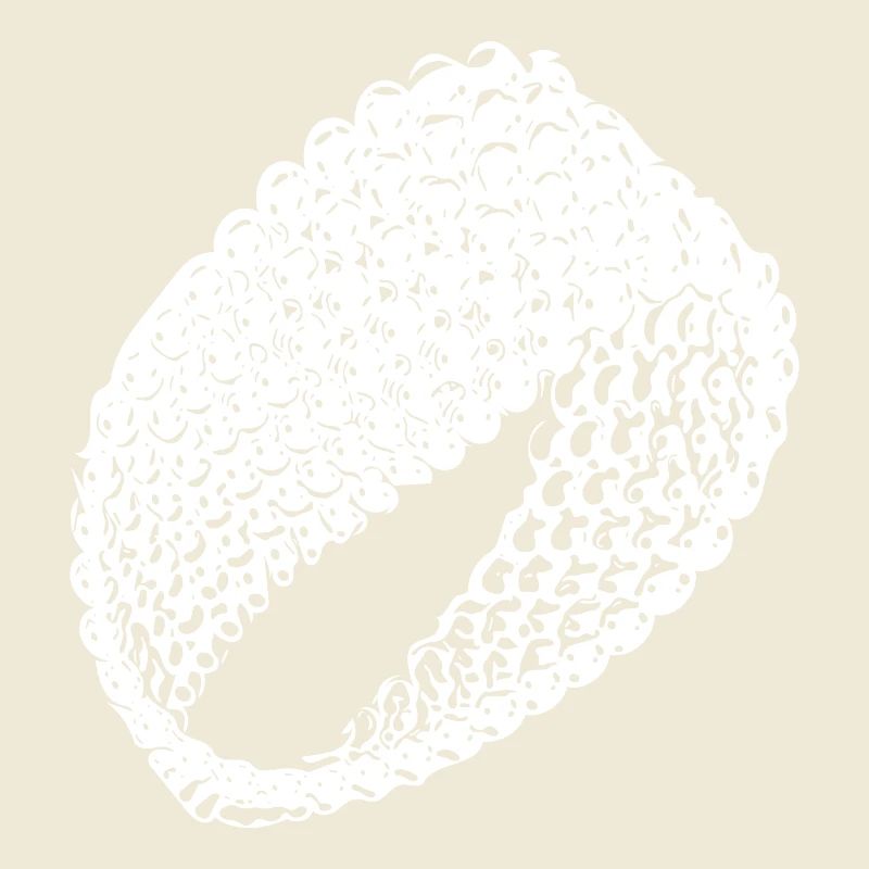 Geometric vintage Möbius loop flat surface