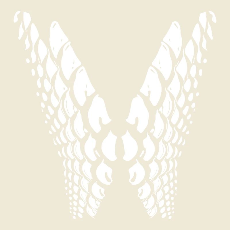 Points géométriques en forme d’aile