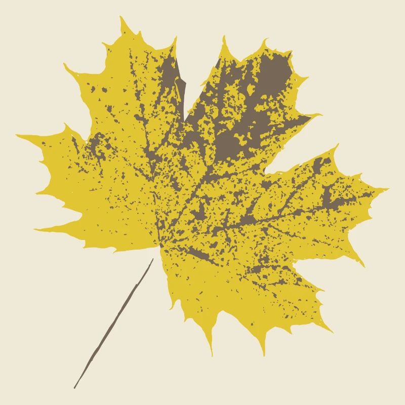 Yellow maple leaf