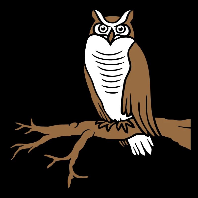 Eule Vogel Uhu Ast Baum Wald Schleiereule Kauz süß