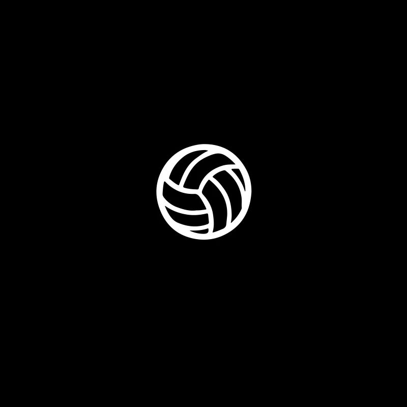 Équipe de volley-ball