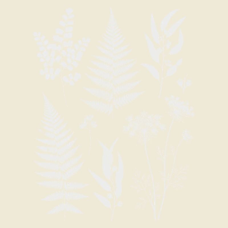 Botanical silhouettes in white