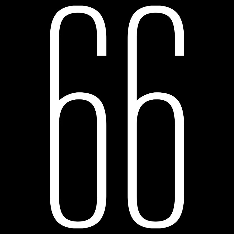 66