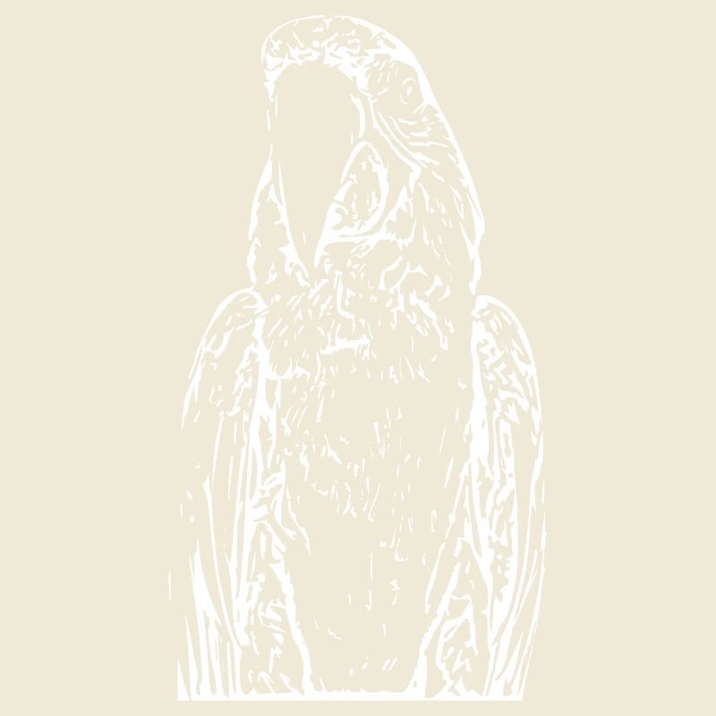 Perroquets Oiseau Blanc