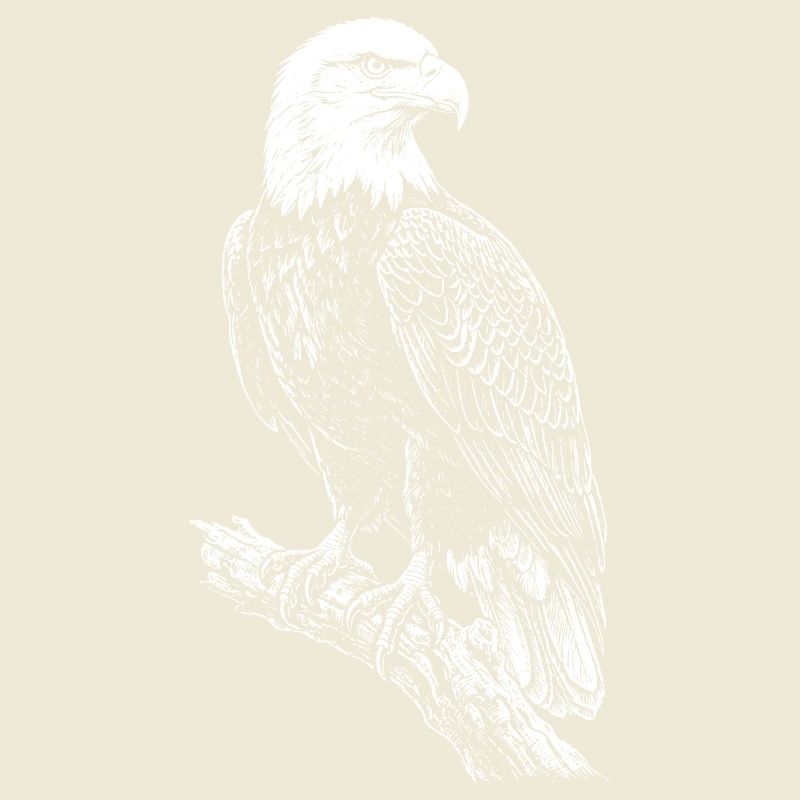 Perched Eagle Silhouette