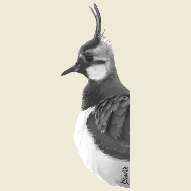Lapwing Portrait