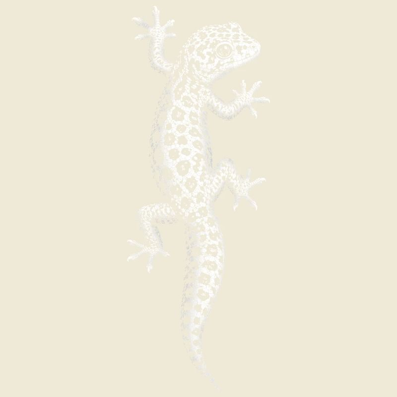 leopard gecko