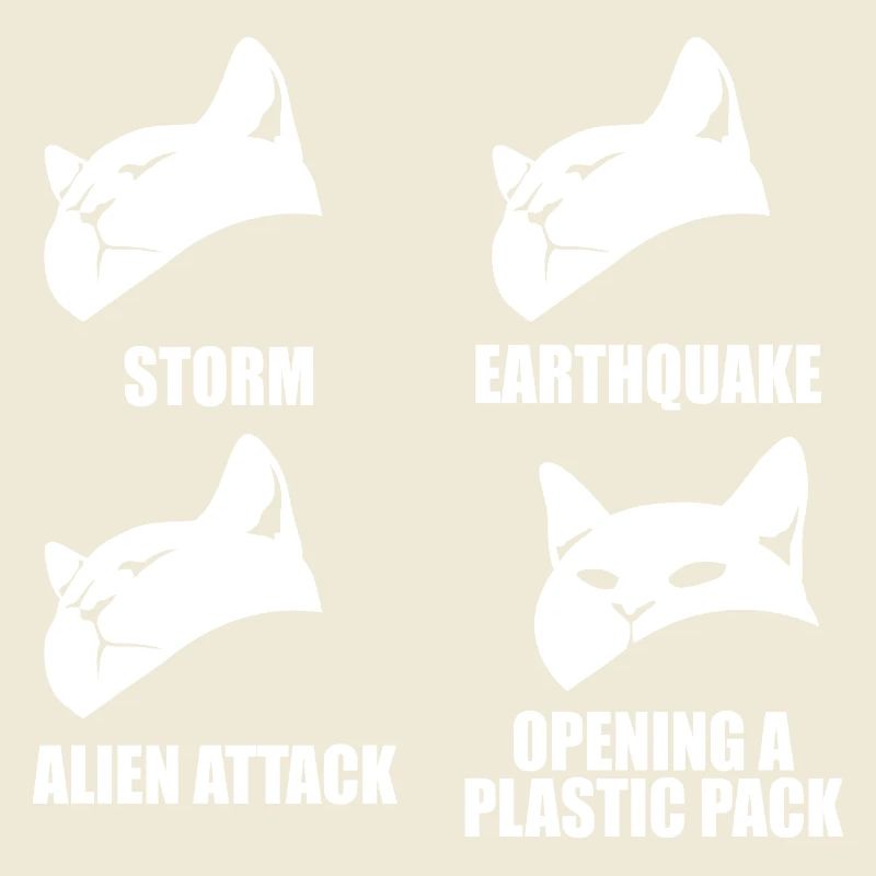 Cat - selective perception - saying