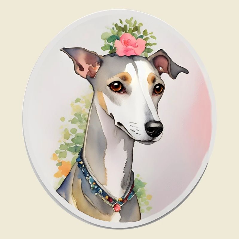 Whippet