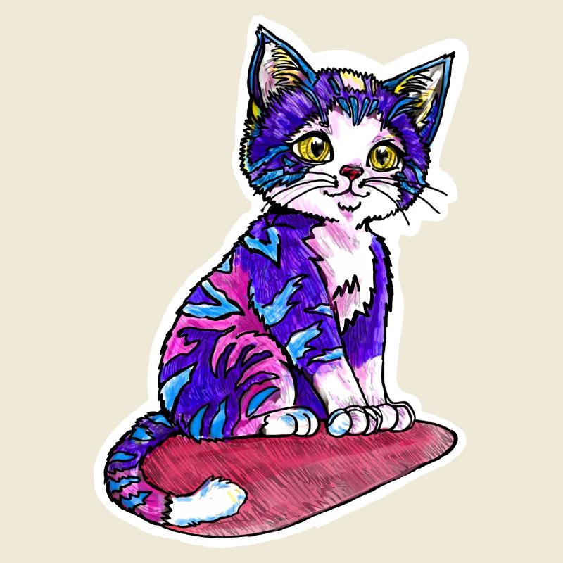 Petit chat à la fourrure violette