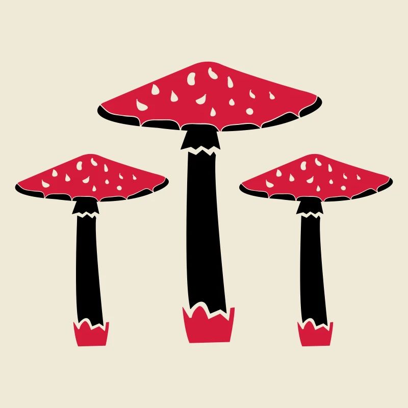 Champignons 02