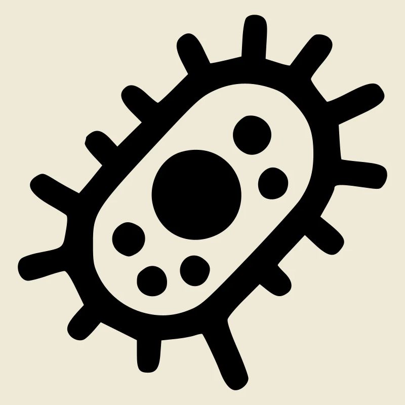 Bacteria