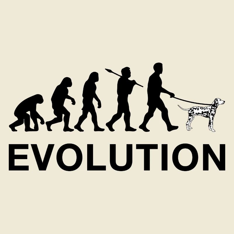 Evolution