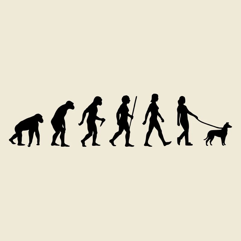 Evolution Kurzhaarcollie Frau