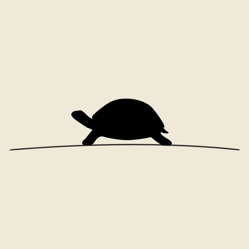 Silhouette de la Tortue