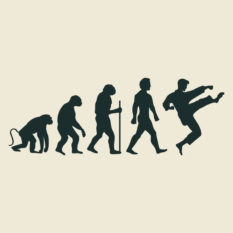 karate evolution