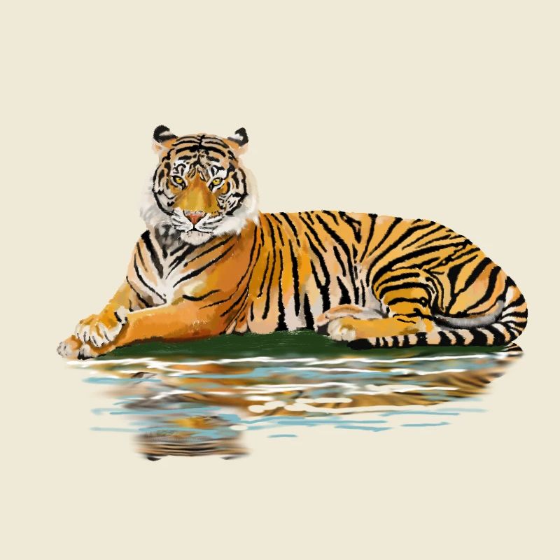tiger