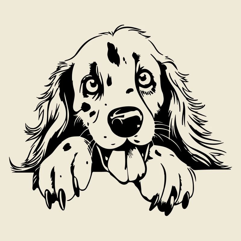 Setter mignon