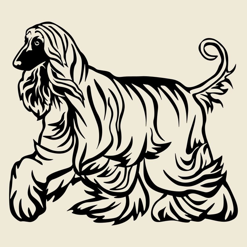 Afghan