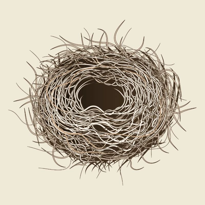 leeres Vogelnest oder Osternest zum Frühling