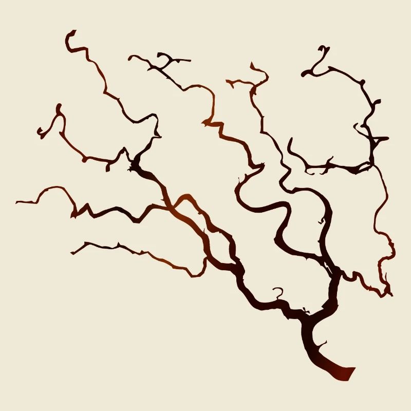 Corkscrew hazel branch in a warm brown tone