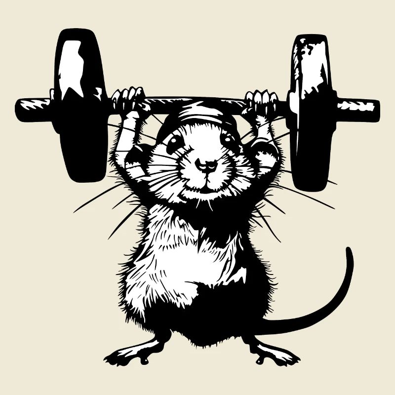 Rat de fer : la force et le style