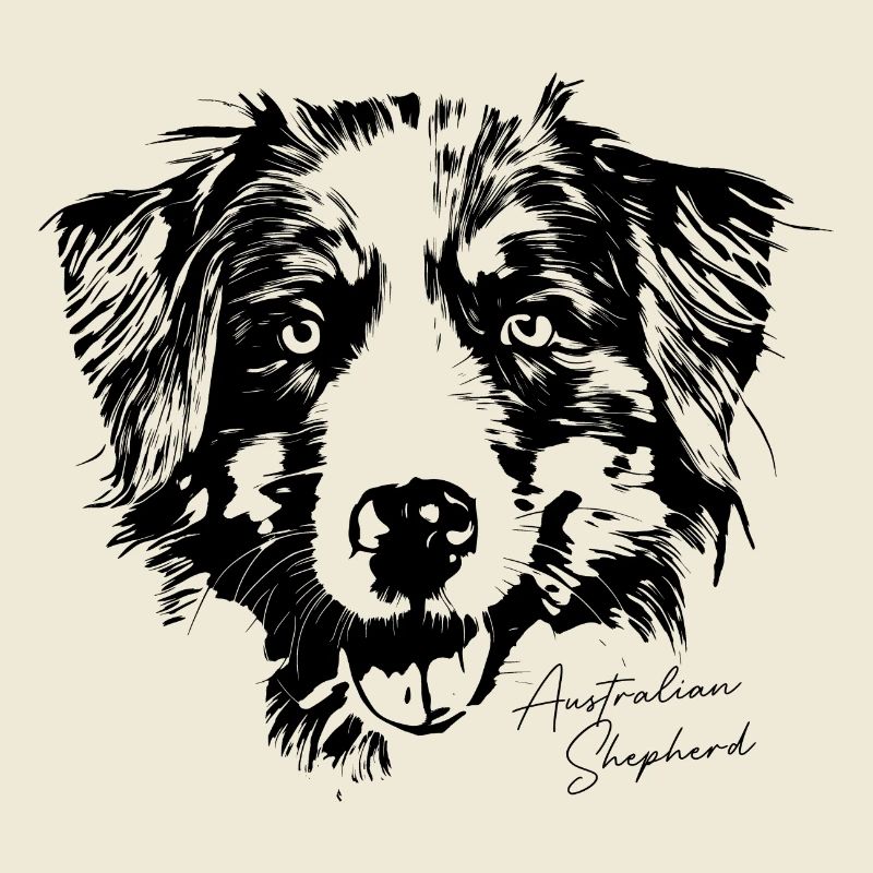 Australian Shepherd