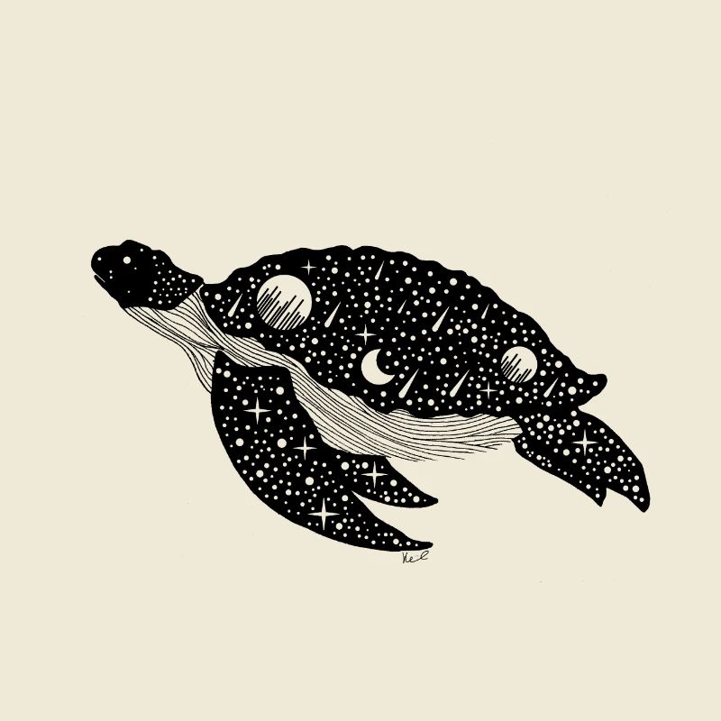 Night Silhouette Turtle