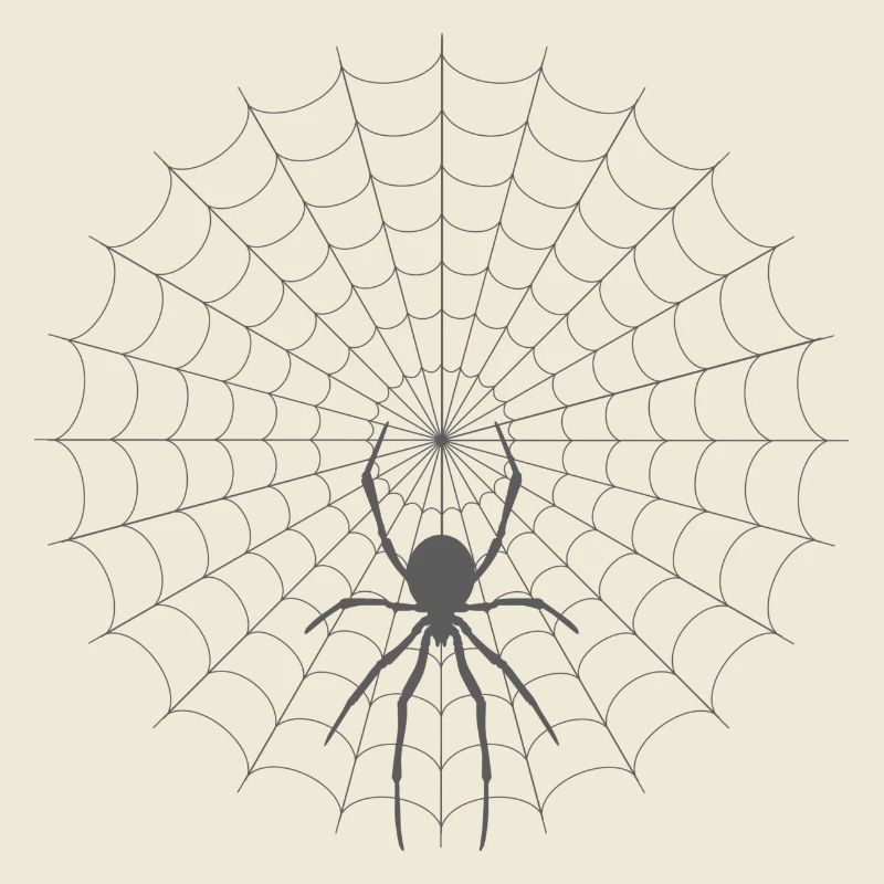 Spider Web Silhouette