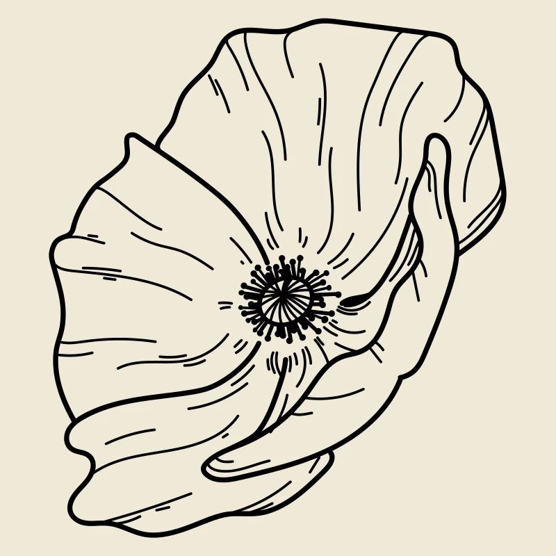 Fleur de pavot