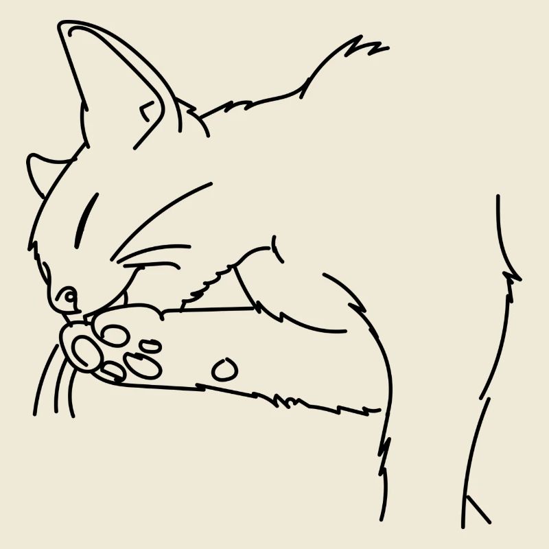 Chat