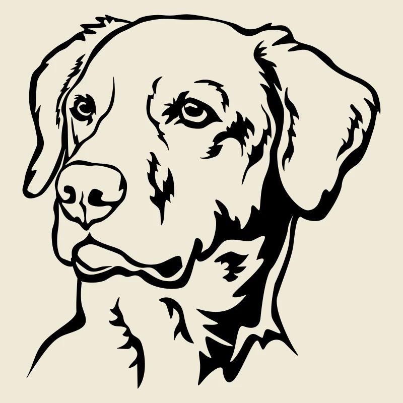 Tête de labrador
