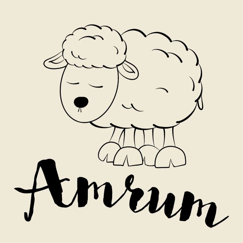 Amrum Sheep
