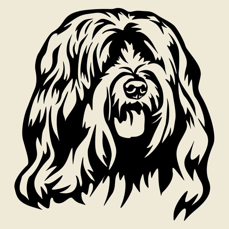 Tibetan Terrier Head