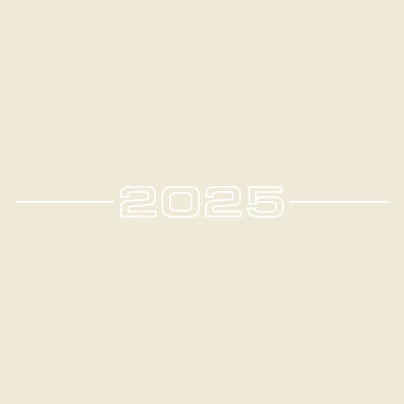 2025 year Outline