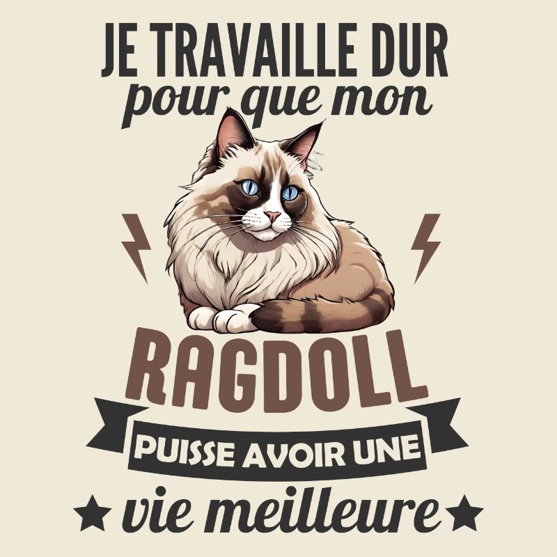 chat ragdoll