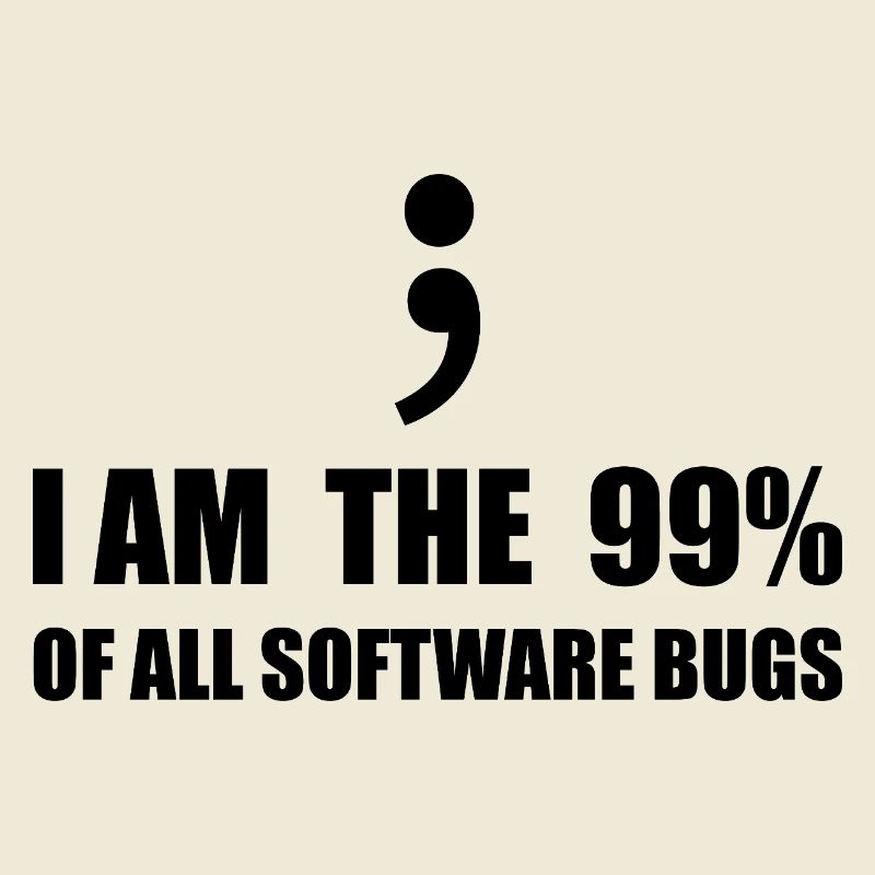 Informatiker, Programmierer