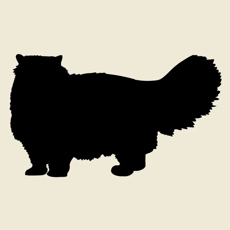 Chat persan