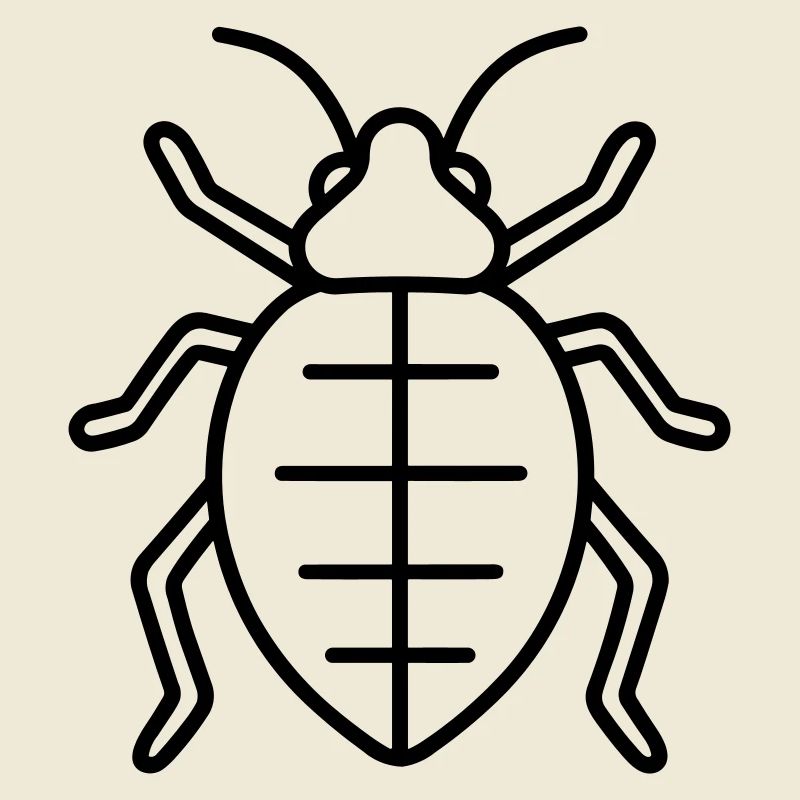 Aphid