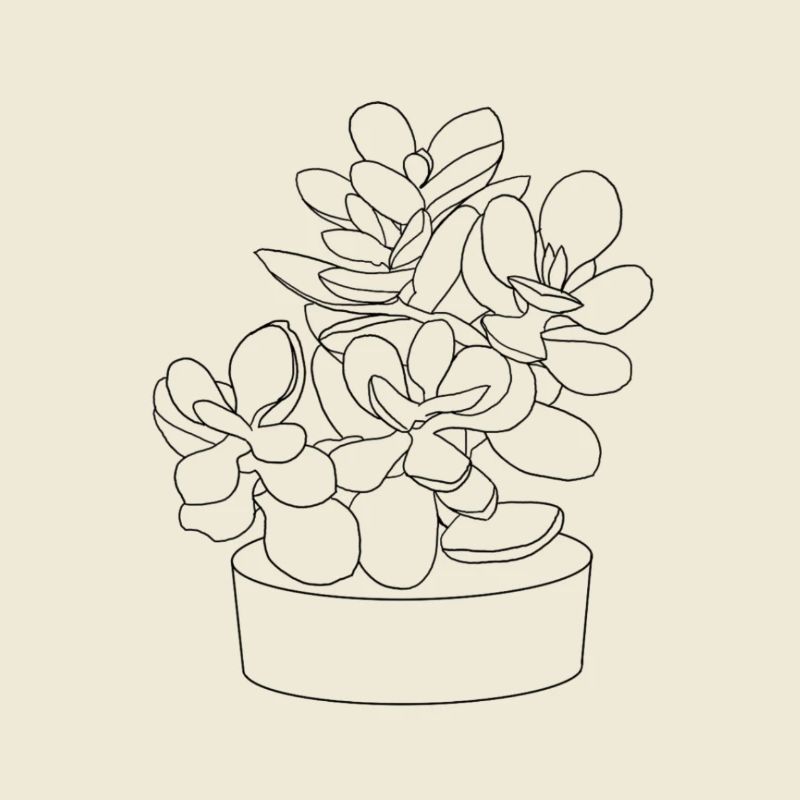 Planter